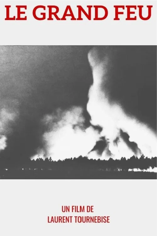 1949 : le Grand feu постер