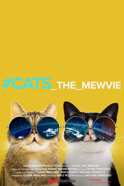 #cats_the_mewvie постер