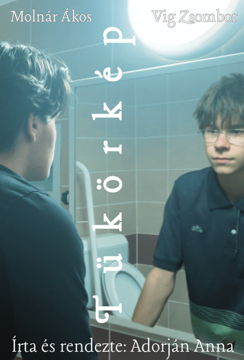 Tükörkép постер