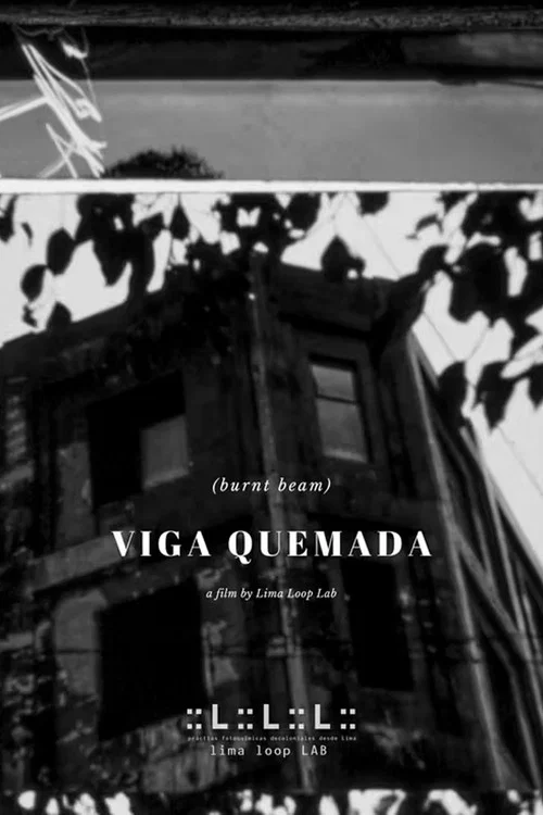 Viga Quemada постер