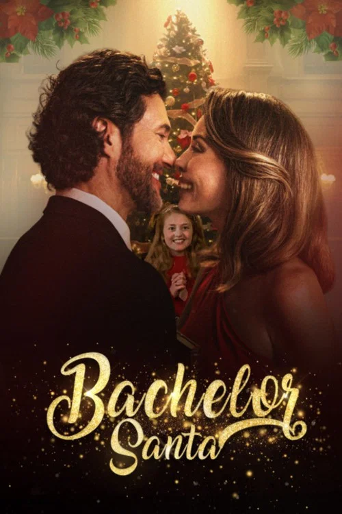 Bachelor Santa постер