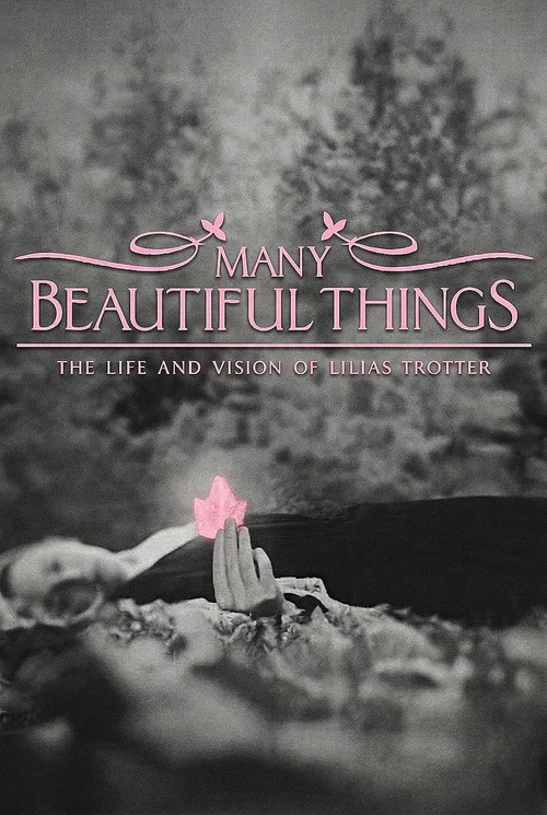 Many Beautiful Things постер