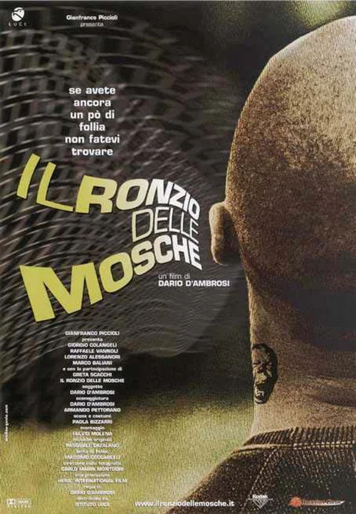 Il ronzio delle mosche постер