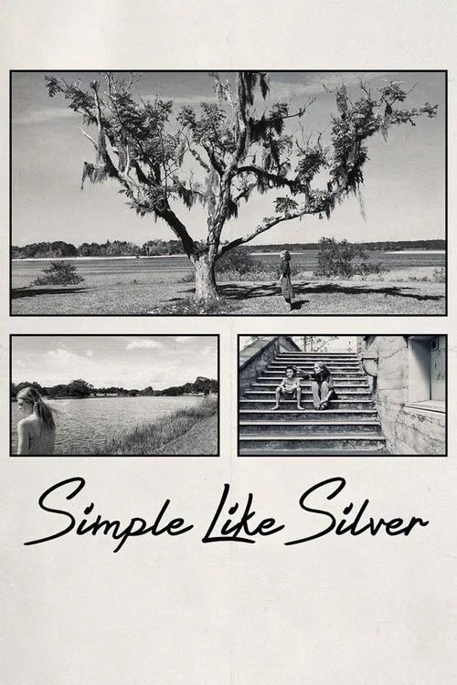 Simple Like Silver постер