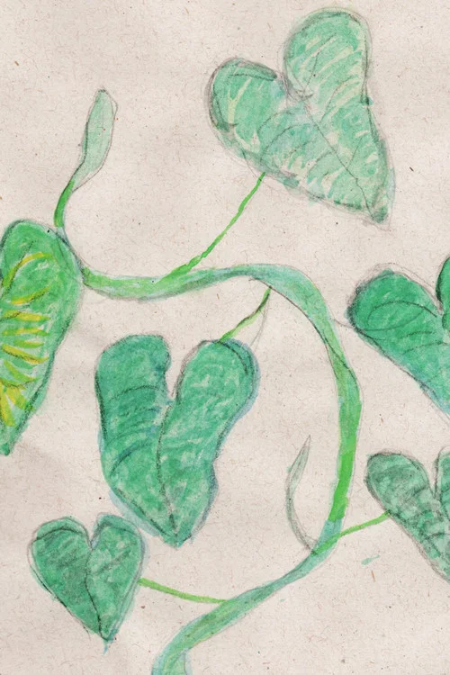 E as minhas plantas? постер