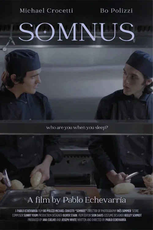Somnus постер