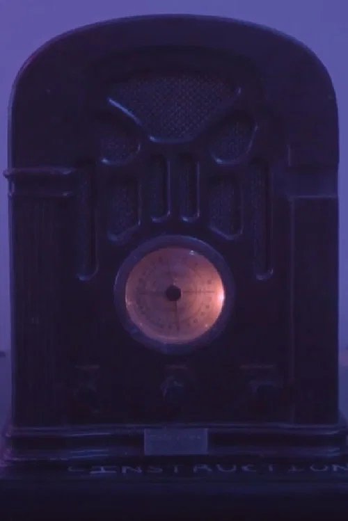 The Radio постер