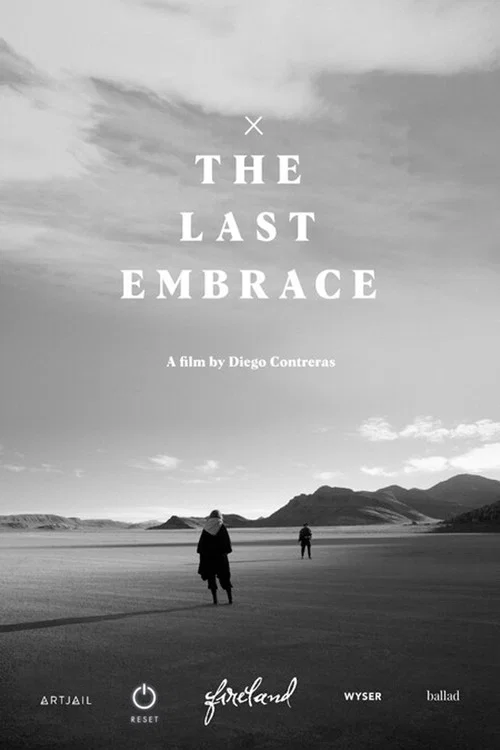 The Last Embrace постер