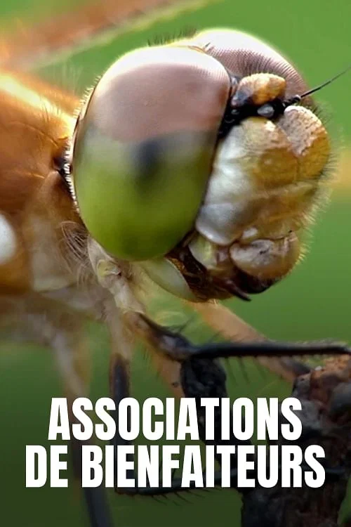 Associations de bienfaiteurs постер