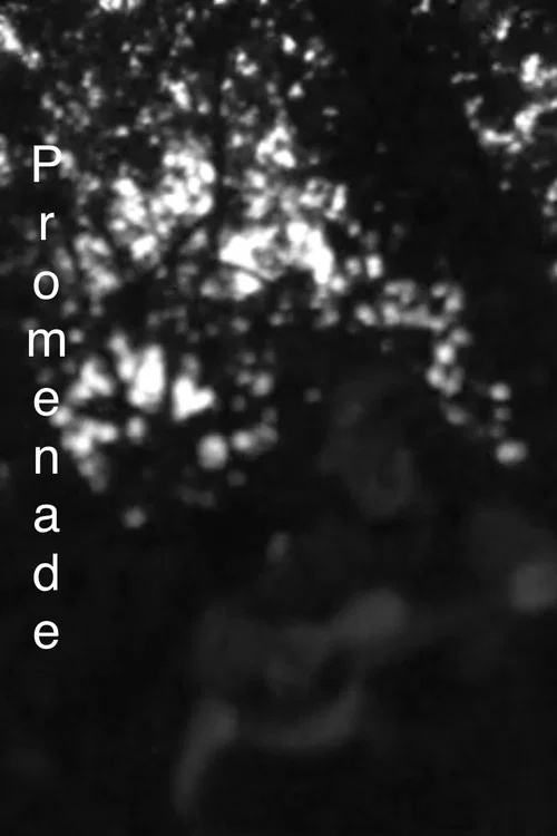 Promenade постер