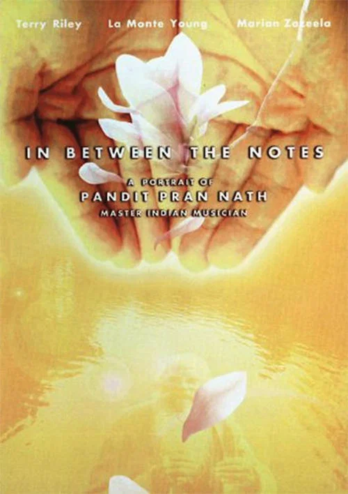 In Between The Notes: A Portrait of Pandit Pran Nath постер