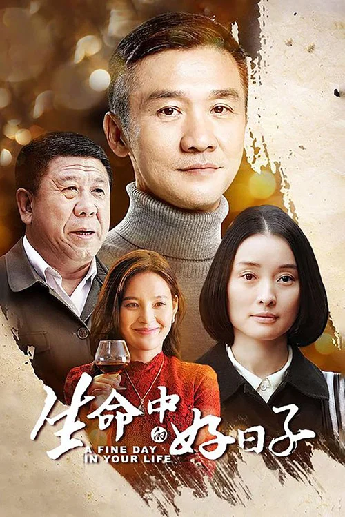 生命中的好日子 постер