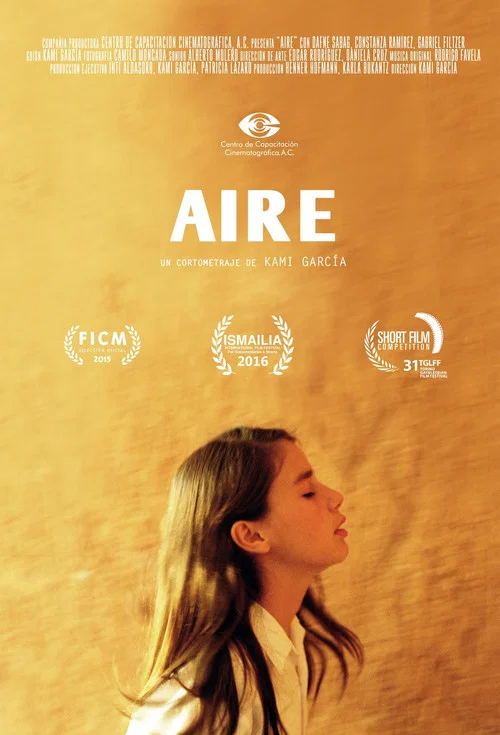 Aire постер