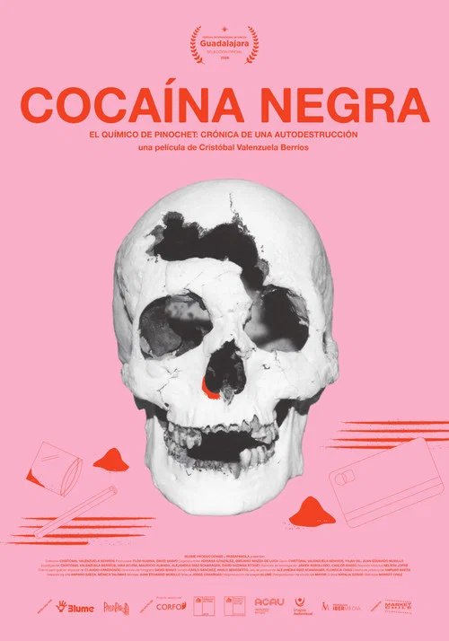 Cocaína negra постер
