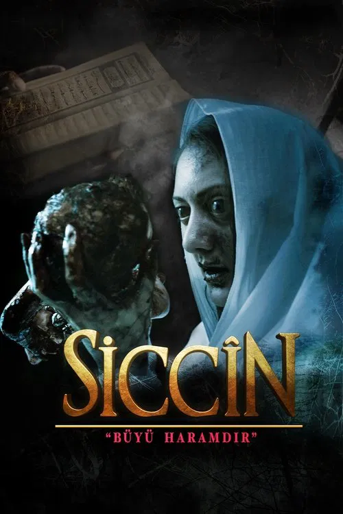Сиджин постер