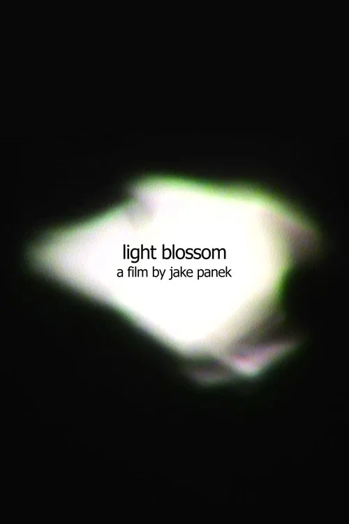 light blossom постер