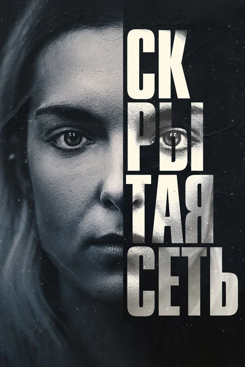 Скрытая сеть постер