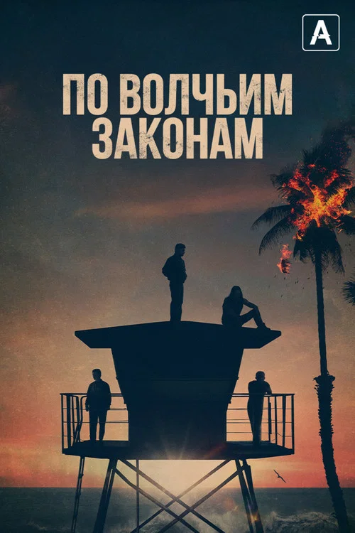 По волчьим законам постер