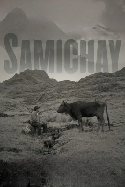 Samichay постер