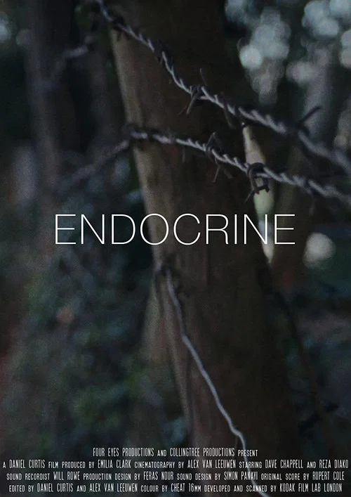 Endocrine постер