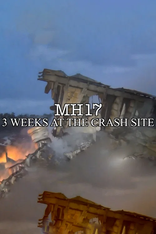 MH17 постер