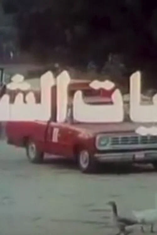 البيات الشتوي постер
