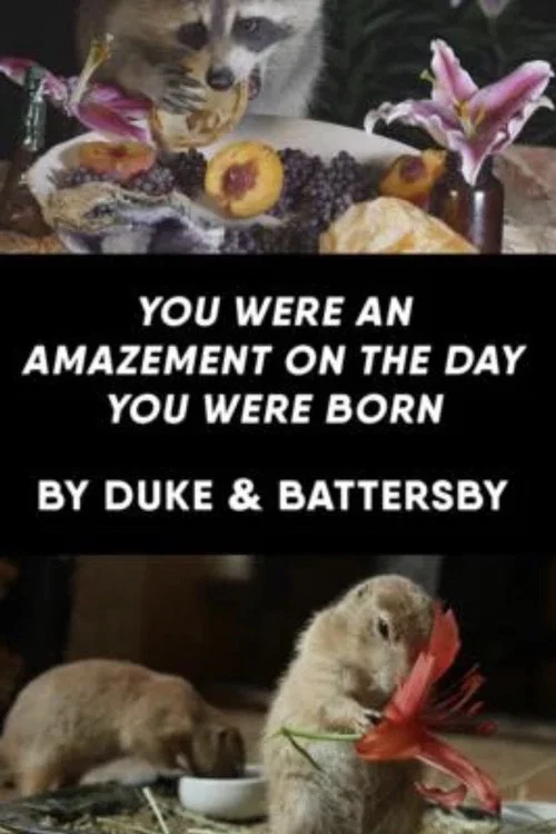 You Were an Amazement on the Day You Were Born постер