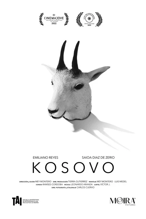 Kosovo постер