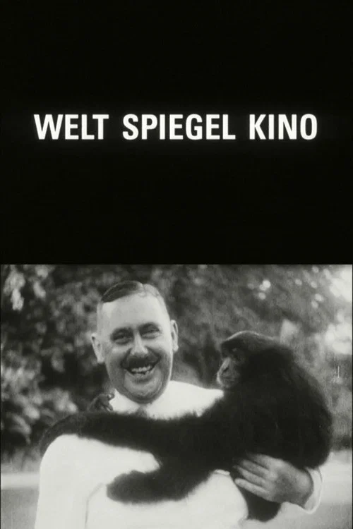 Welt Spiegel Kino постер