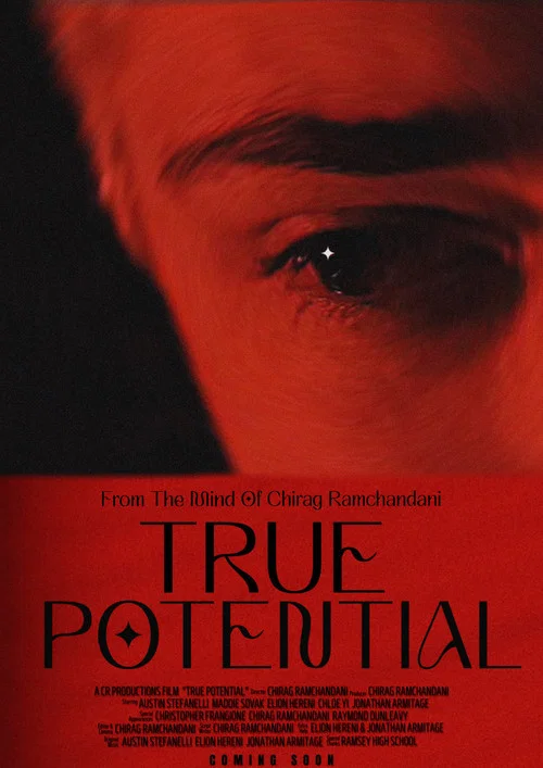 True Potential постер