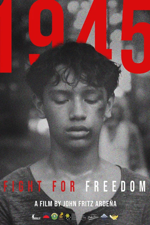 1945: Fight For Freedom постер