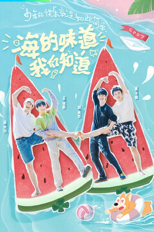 恰好是少年 постер
