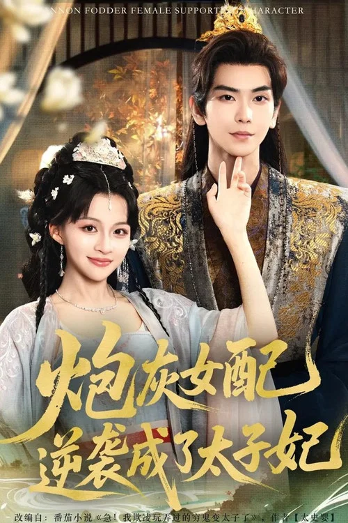 炮灰女配逆袭成了太子妃 постер
