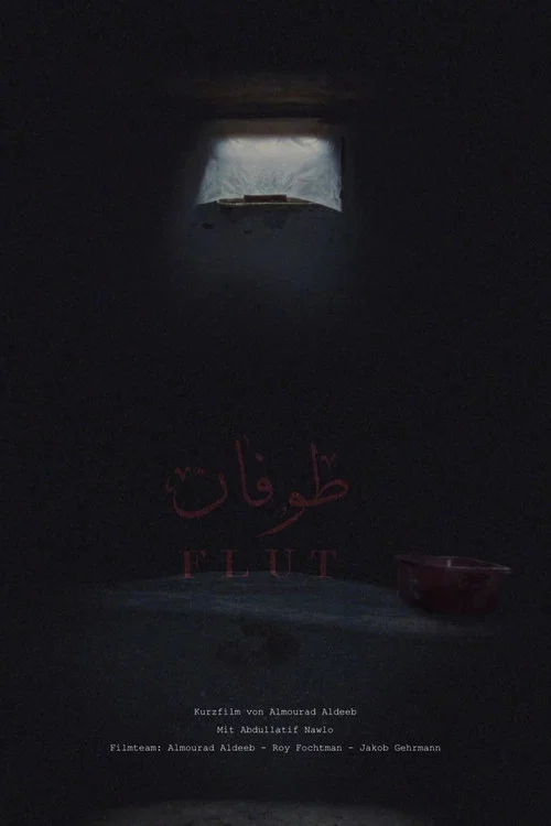 Flut постер