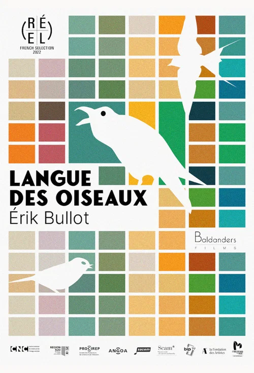 Langue des oiseaux постер