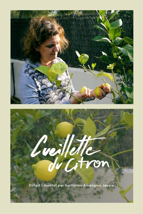 Cueillette du citron постер