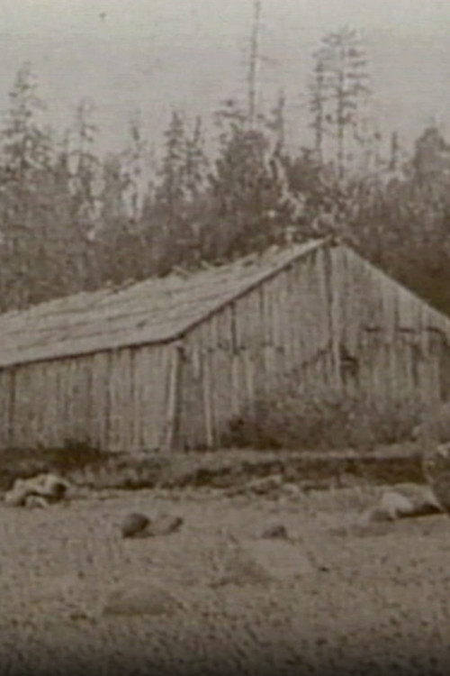 Seattle: Hidden Histories постер