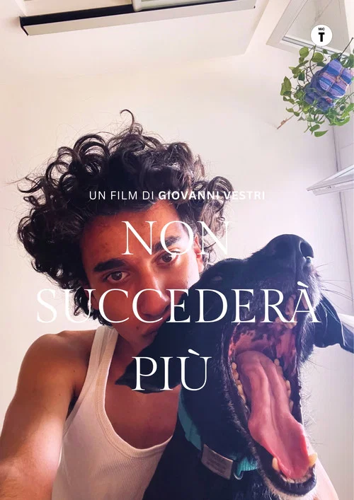 Non succederà più постер