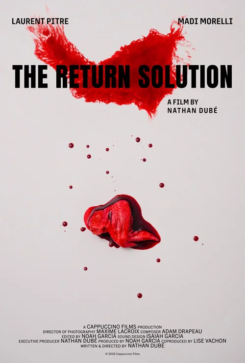 The Return Solution постер
