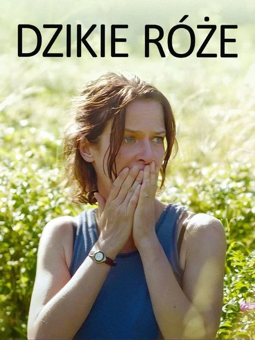 Dzikie róże постер