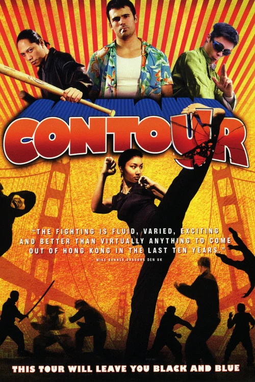 Contour постер