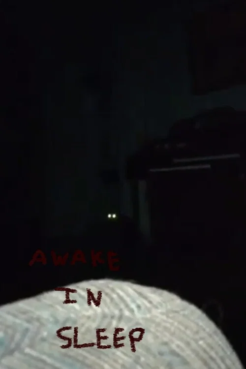 Awake in Sleep... постер