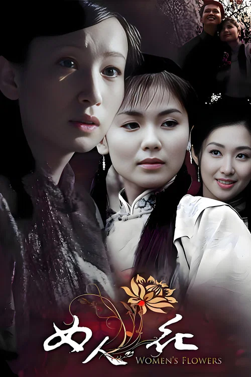女人花 постер