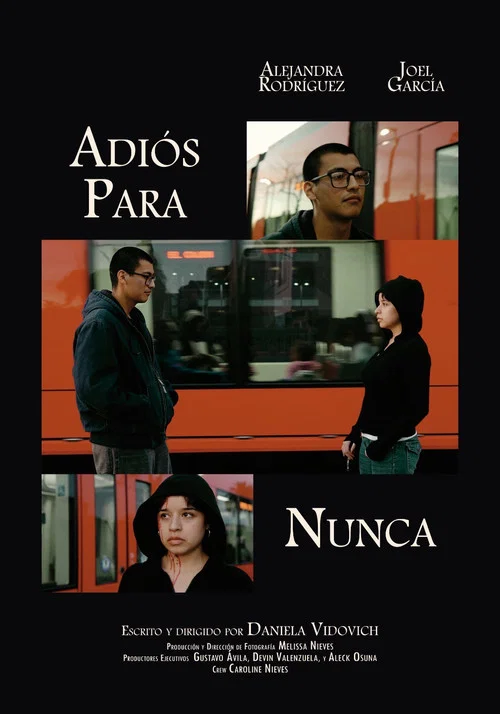 Adiós Para Nunca постер