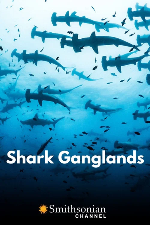Shark Ganglands постер