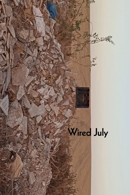 Wired July постер