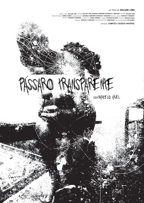 Pássaro Transparente постер