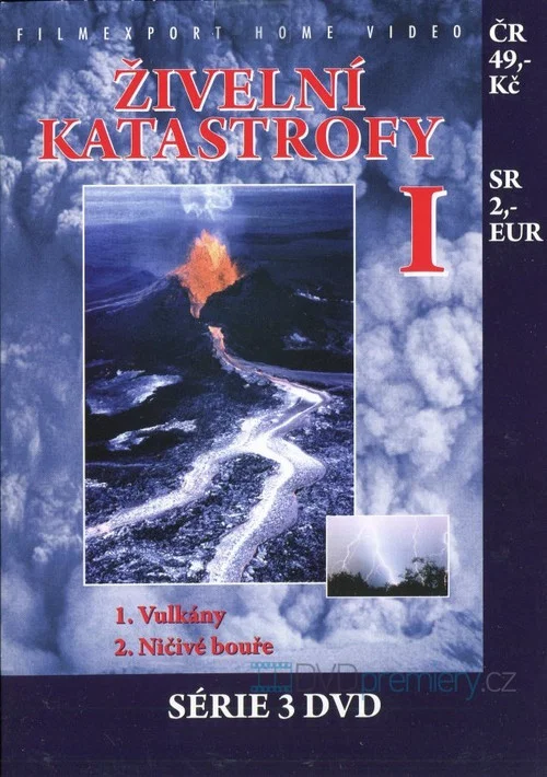 Anatomy of a Disaster постер