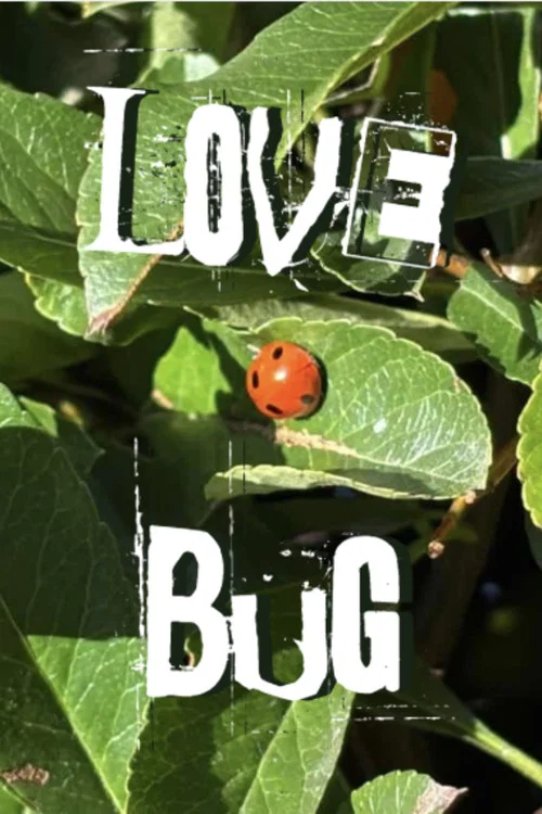 Lovebug постер