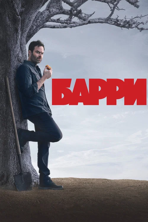 Барри постер